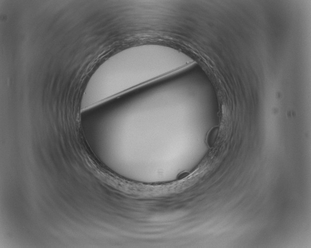 X0000070190048200605261015