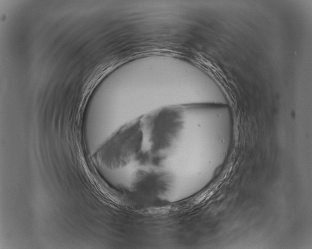 X0000070190049200605261015