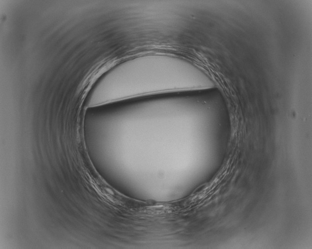 X0000070190050200605261015