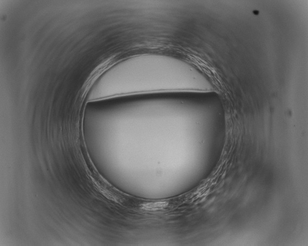 X0000070190051200605261015