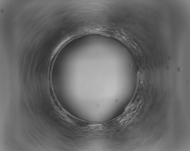 X0000070190052200605261015