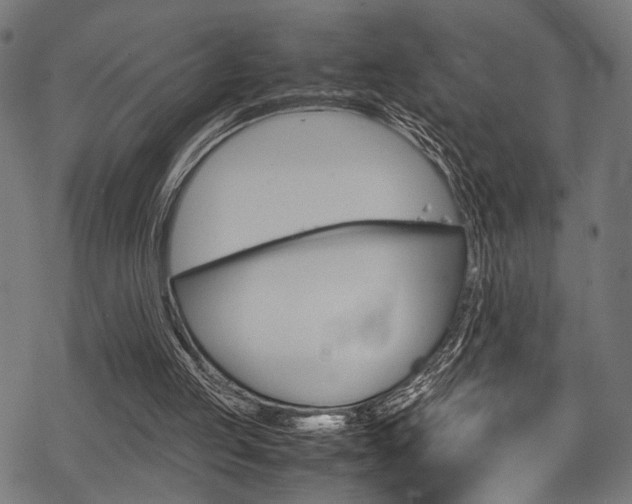 X0000070190053200605261015