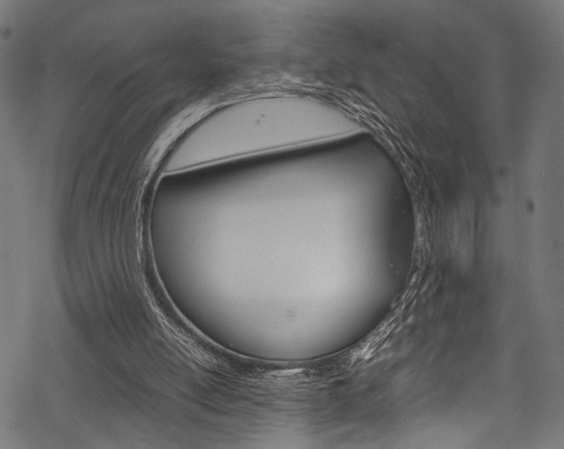 X0000070190054200605261015