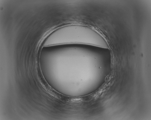 X0000070190055200605261015