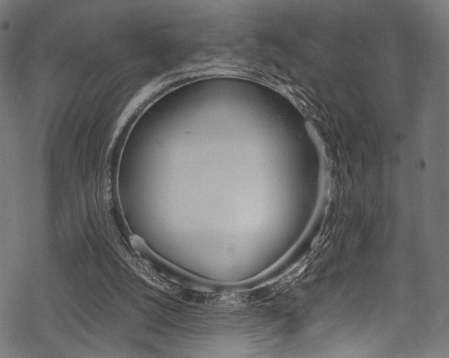 X0000070190056200605261015