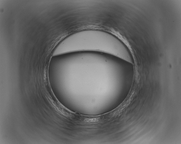 X0000070190057200605261015