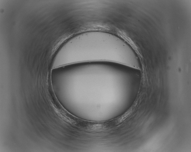 X0000070190058200605261015