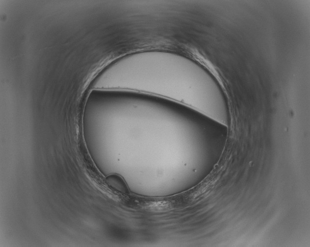 X0000070190059200605261015