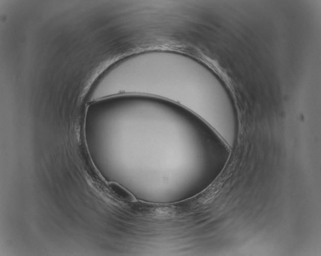 X0000070190060200605261015