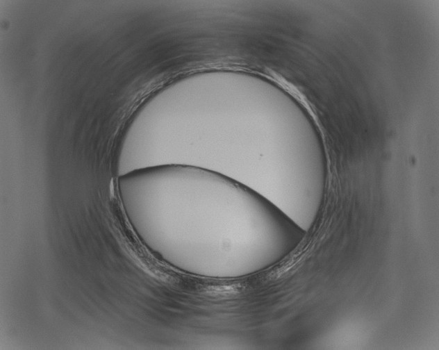 X0000070190061200605261015