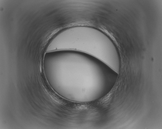 X0000070190062200605261015