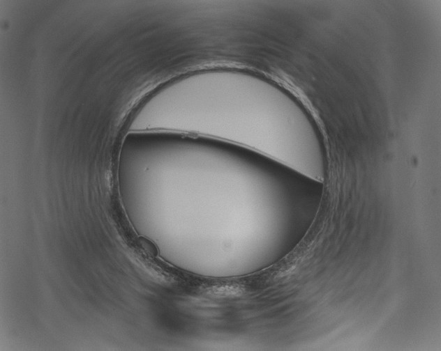 X0000070190063200605261015