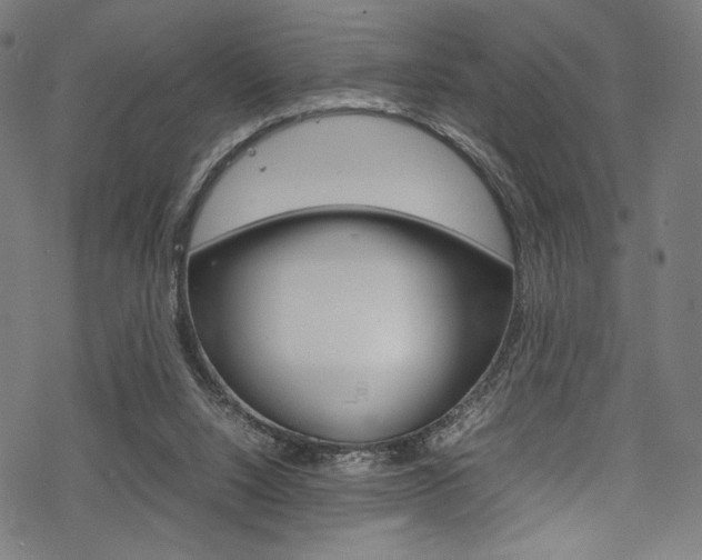 X0000070190064200605261015