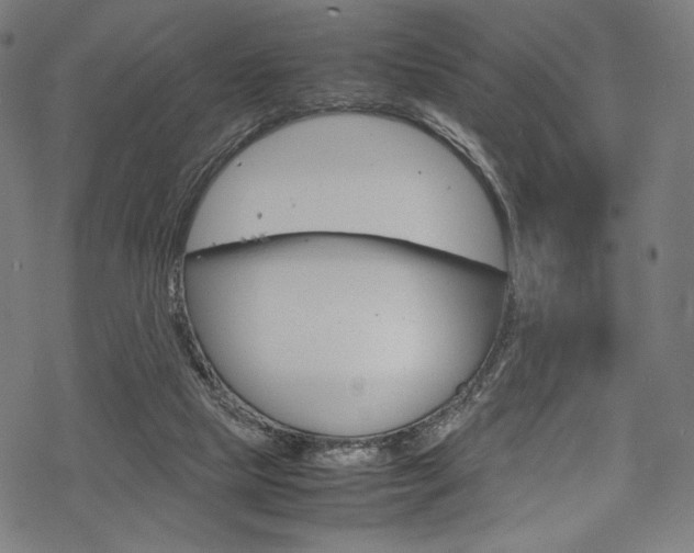 X0000070190065200605261015