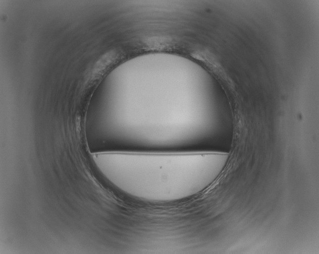 X0000070190066200605261015