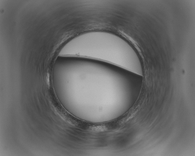 X0000070190067200605261015