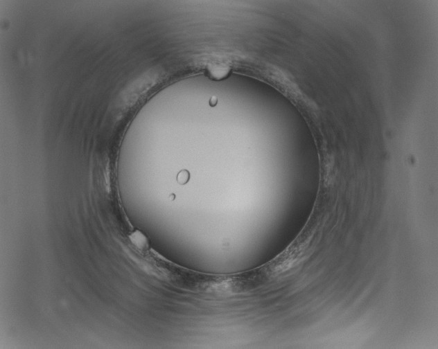 X0000070190068200605261015