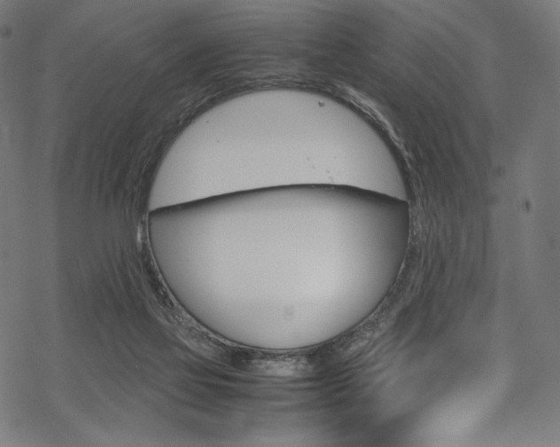 X0000070190069200605261015