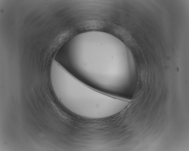 X0000070190070200605261015