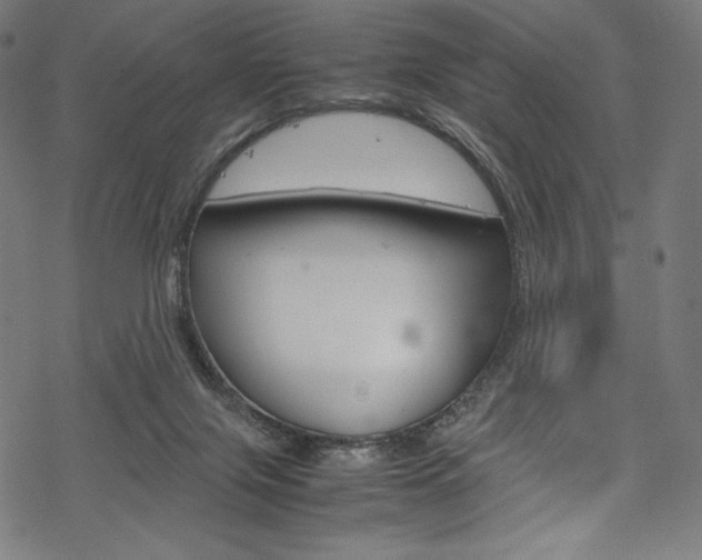 X0000070190071200605261015