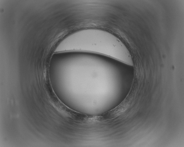 X0000070190072200605261015