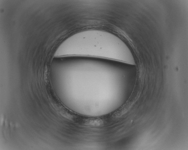 X0000070190073200605261015