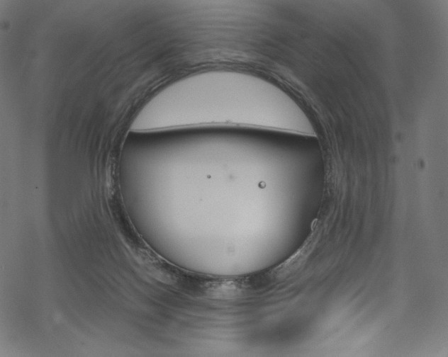 X0000070190074200605261015