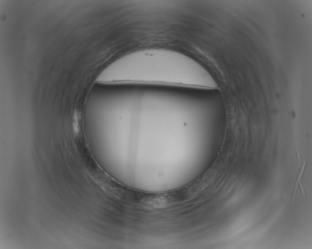 X0000070190075200605261015