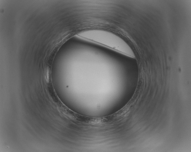 X0000070190076200605261015