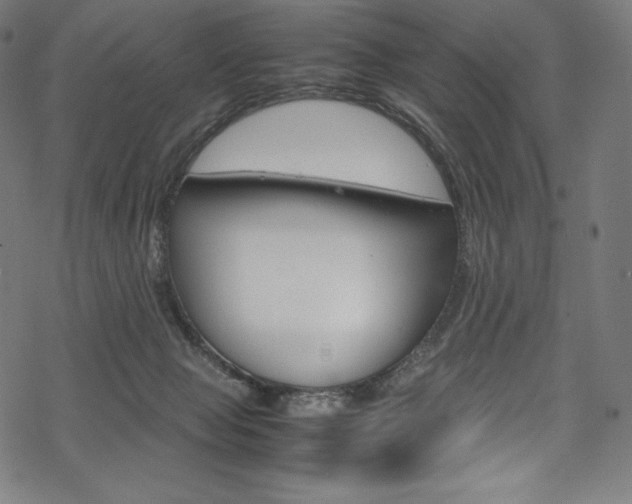 X0000070190077200605261015