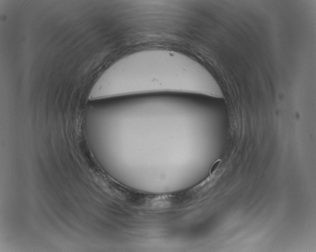 X0000070190078200605261015