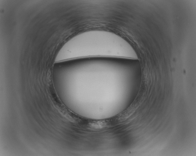 X0000070190079200605261015