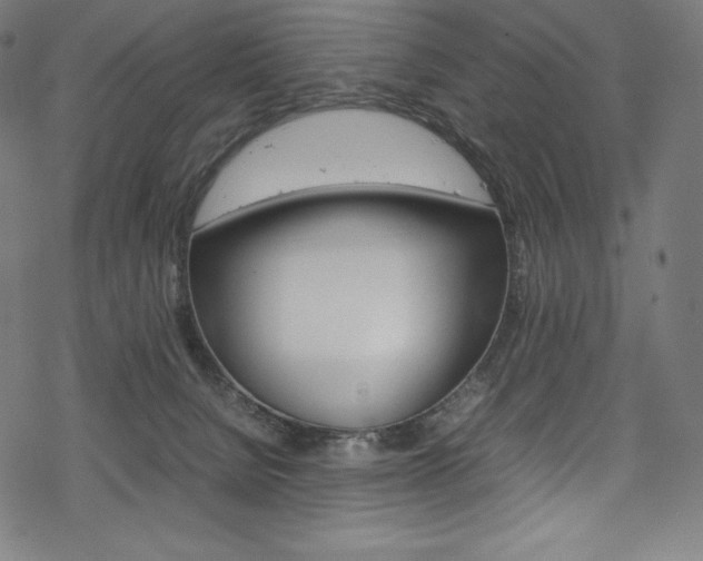 X0000070190080200605261015