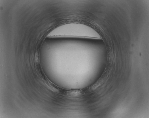 X0000070190081200605261015