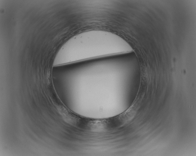 X0000070190082200605261015