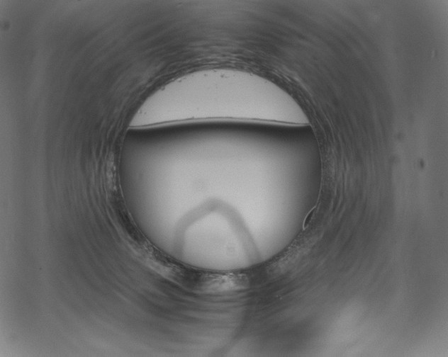 X0000070190083200605261015