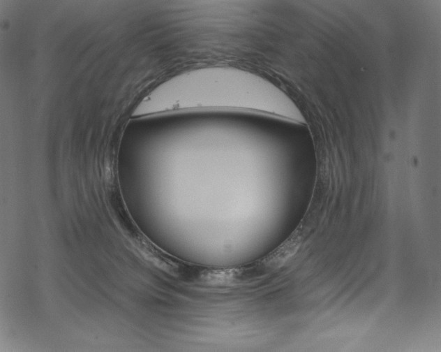 X0000070190084200605261015