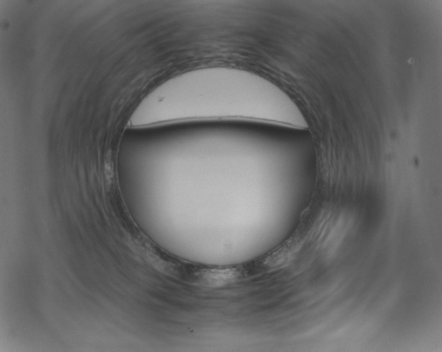 X0000070190085200605261015