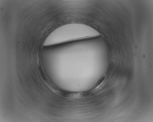 X0000070190086200605261015