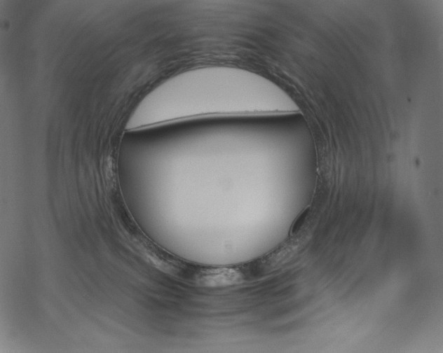 X0000070190087200605261015