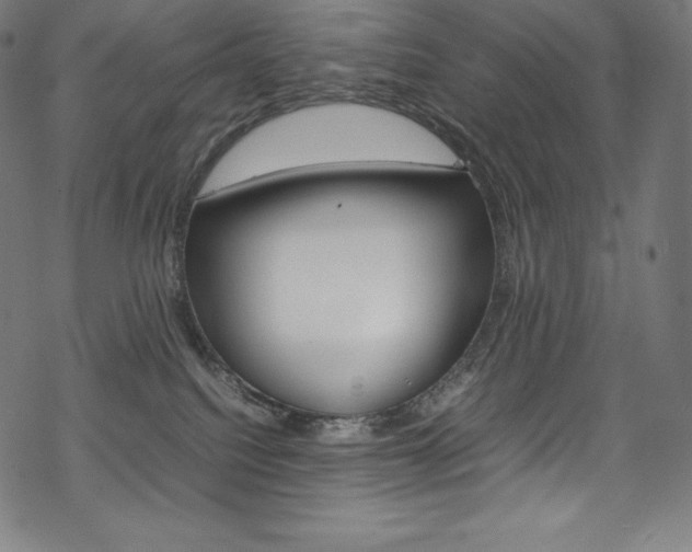 X0000070190088200605261015