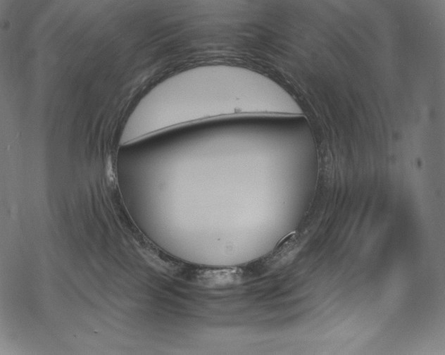 X0000070190089200605261015