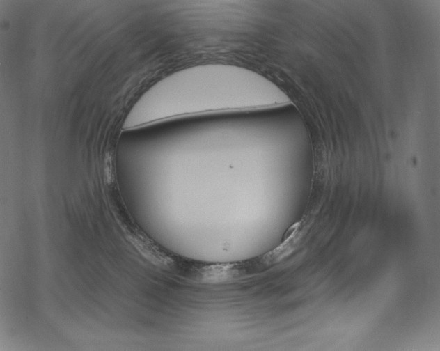 X0000070190090200605261015