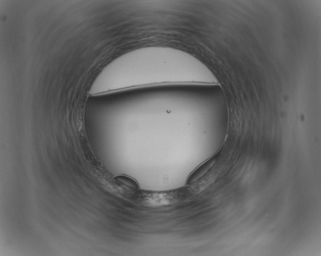 X0000070190091200605261015