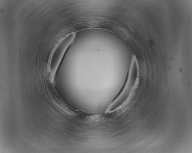 X0000070190092200605261015