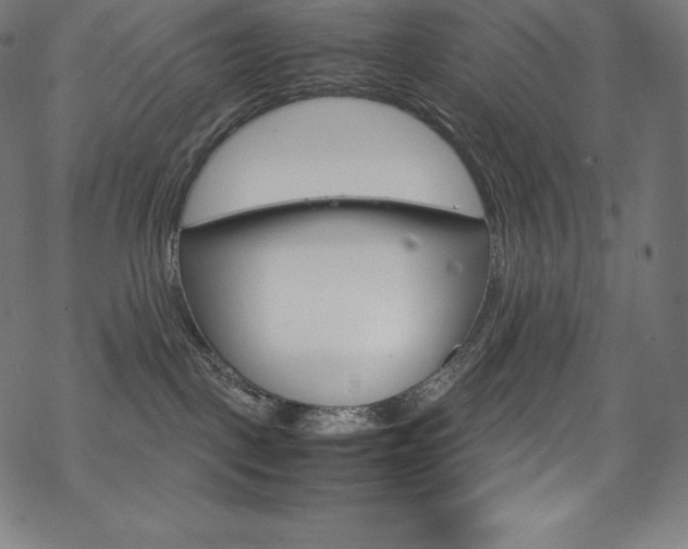 X0000070190093200605261015