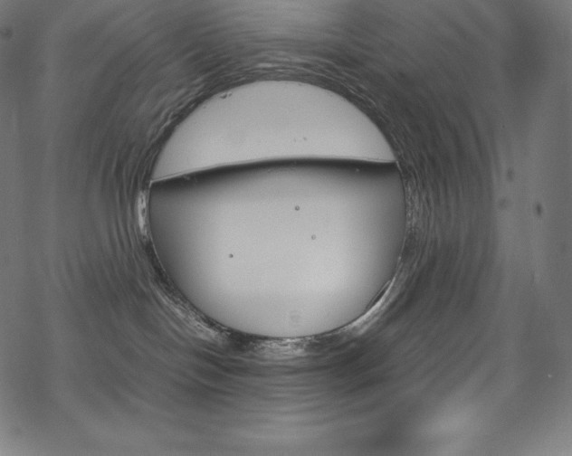 X0000070190094200605261015