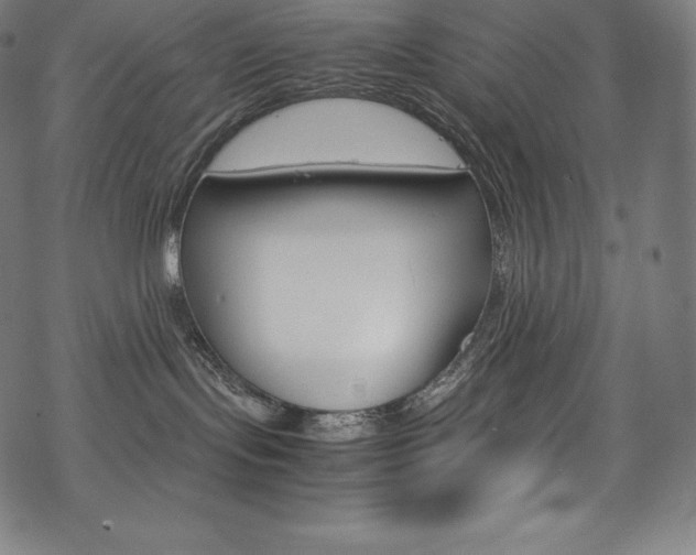 X0000070190095200605261015