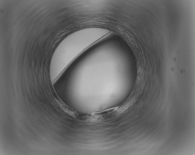 X0000070190096200605261015