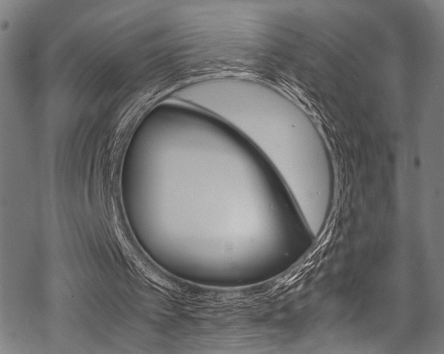 X0000070190097200605261015